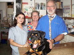 pryor vet clinic pryor ok,Comprehensive Services Offered