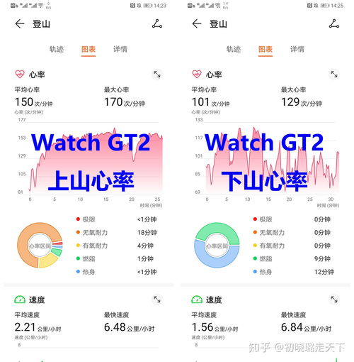 运动手表的热量消耗数据准么 华为Watch GT2硬核测试 