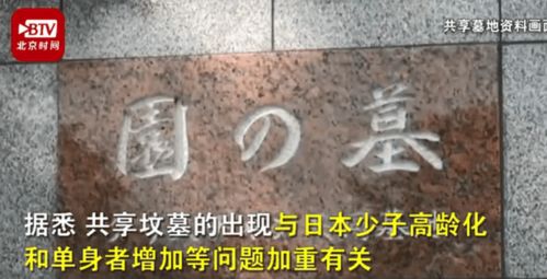 35人共用一座坟 日本推出共享坟墓 网友 这也太挤了吧