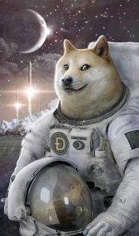 doge狗狗币dogecoin,doge是什么币种？