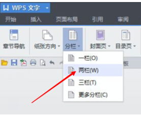 用word时,怎样把文档像杂志一样分成左右两半 