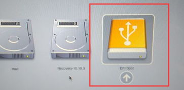 u盘装win10苹果系统怎么安装