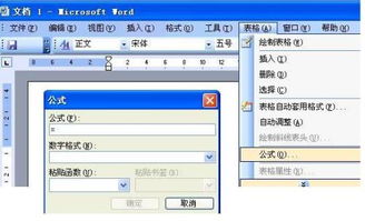 word中函数咋插入啊 