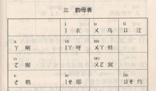 tao拼音的正确发音,探索淘宝淘宝:打开中国电子商务新世界