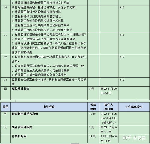 工程项目招投标审计案例 模板 