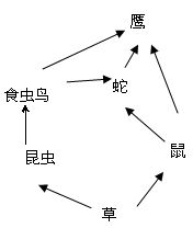 下图为某农田生态系统.请回答 1 图中生产者是 .食物链不包括生态系统中生物部分的 . 2 该食物网中有 条食物链.请写出其中最短的一条食物链是 . 3 图中的各种生物 