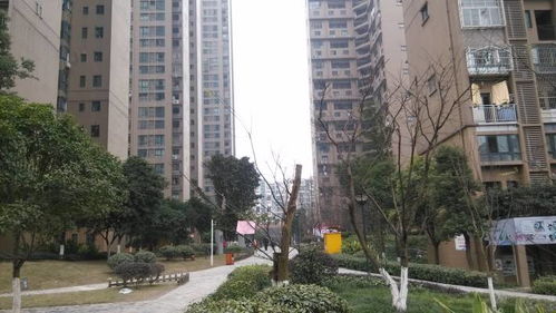 重庆同景国际城W组团二手房房源,房价价格,小区怎么样 