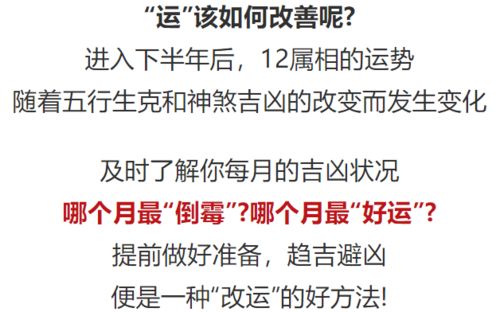 下半年横财发发发的牛生肖,受财神眷顾大喜从天降,天天数钱忙