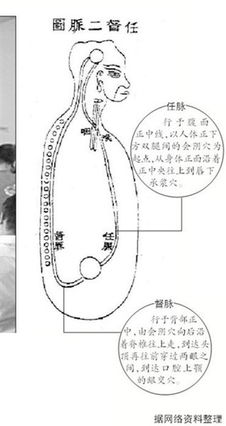 甘肃41名医务人员9天打通任督二脉 