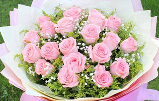 粉玫瑰花语11朵多少钱？浪漫之花，传达爱意之选