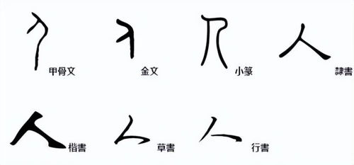 人类社会文明大厦中的 一砖一瓦 都源自生产劳动与生活实践