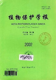 省刊查重服务，保障学术诚信