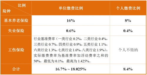湖南日报:成都市单位社保缴费标准是多少（2023年05月30日更新）