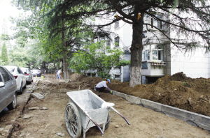 风华园为拓宽道路而砍树 