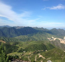 桐桥岭古道 山中无数药苗生,半日游人药径行