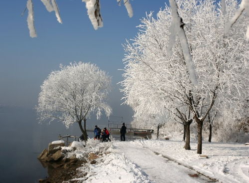 大雪纷飞