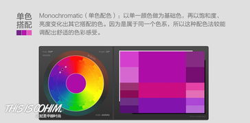 色彩搭配如何运用(怎样进行色彩搭配)