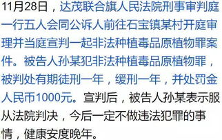 包头八旬老人竟秘密在自家小院干这种事儿 