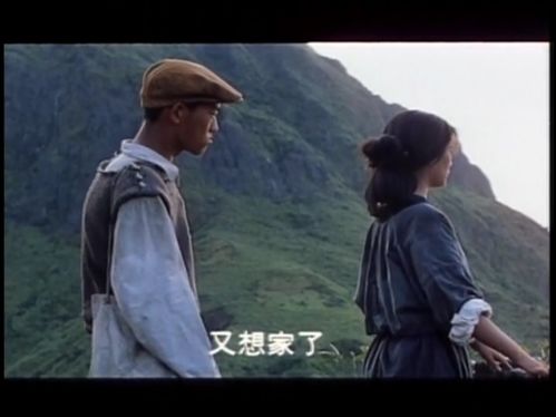 无言的山丘淘金热时代的台湾矿工血泪史