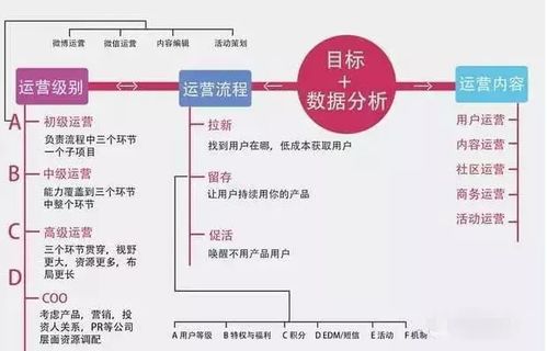 对新媒体的认识和思路,新媒体时代：深入解析自媒体运营策略，让你的内容引爆全网！