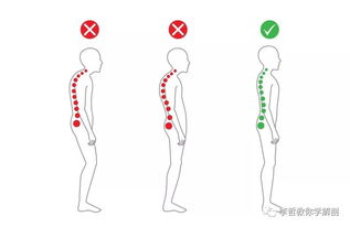 为什么普拉提运动可以在早期矫正脊柱的不良姿势(为什么普拉提很难坚持)