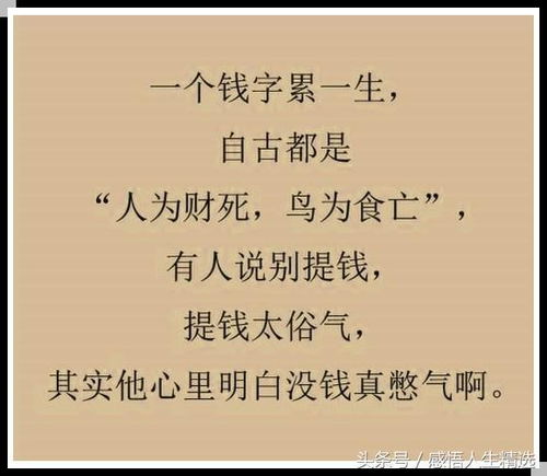 不深不浅词语解释和造句-端庄典雅的词语解释和造句？