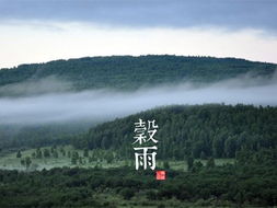 谷雨一周12生肖运势