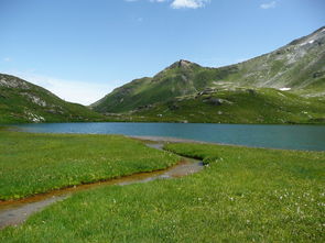 潮州凤凰山丹湖茶叶（潮州凤凰山茶山游）