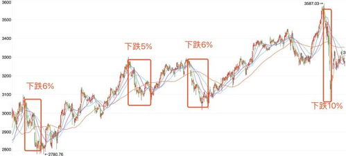 买了基金定投，现在是否适合加仓？