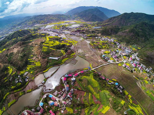 重庆巫山庙宇镇