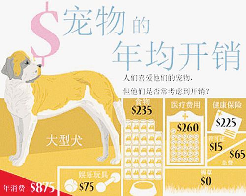 中国平安宠物保险 宠物医疗保险哪家好 