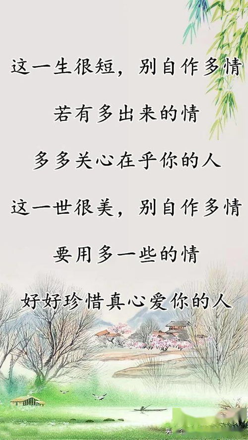 好好珍惜真心爱你的人 