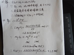 高一化学物质的量浓度溶液的配置 米粒分享网 Mi6fx Com