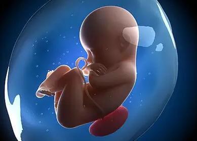 试管成熟卵子少的原因,试管婴儿过程中成熟卵子数量减少的原因及应对策略