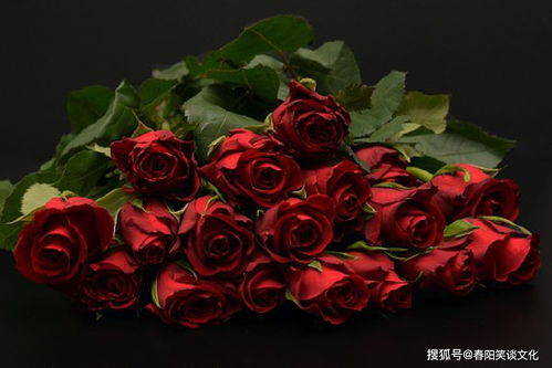 第一次表白送什么花比较好,男生表白女生送一朵玫瑰花合适吗？