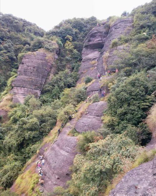 已成行 宜 松 10月25日 徒步绍兴禹香野道 登顶香炉峰