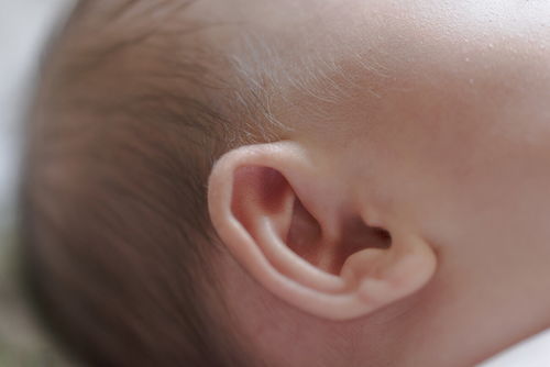 为了让耳朵变大 有福气 ,奶奶经常揪宝宝耳朵,导致听力衰退