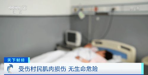 黑龙江老虎扑人 司机回忆救人经过 虎口逃生 女子 我当时傻眼了