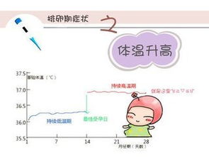 如何发现排卵期 身体的这些症状告诉你