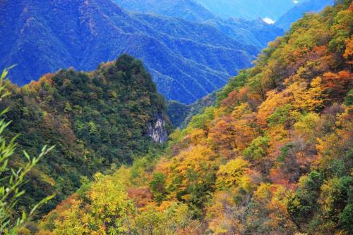 神农架旅游攻略 