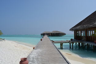 马尔代夫旅游蜜月费用蜜月旅行一般花费多少（马尔代夫蜜月岛入住单是不是真的）