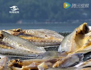 中国四大名鱼,有一条就在福建 它是 