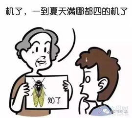 孩子3岁都不会说话 竟因为父母常做这件事...你家有这种情况吗 