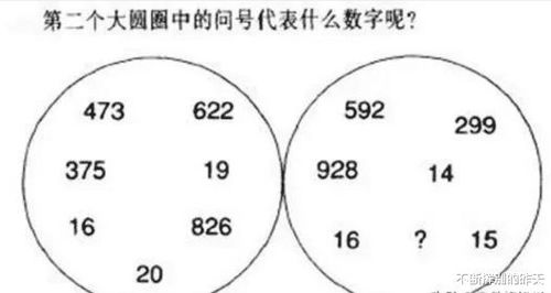 国际智商测试30题（国际智商测试30题答案）