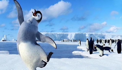 为什么北极没有企鹅 19世纪放养在北极的69只企鹅,现在怎么样了