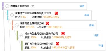 在湖南金旺铋业股份有限公司不办医保可以吗？