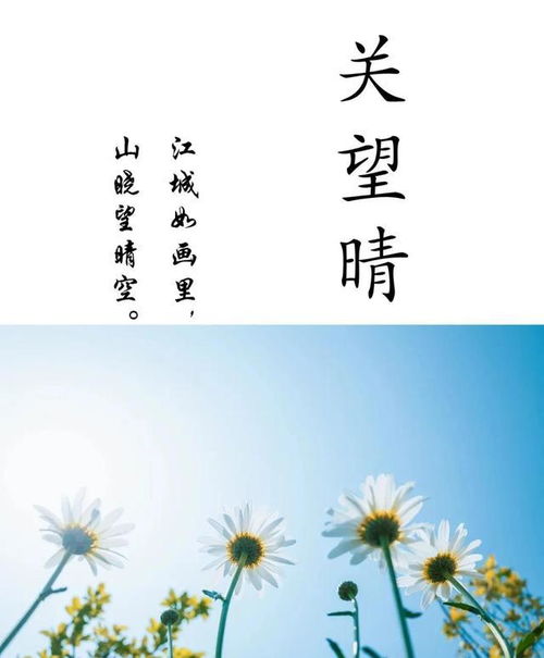 宝宝起名字 好听洋气有诗意,男孩女孩起名字,国学起名经典版