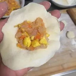 狗狗能吃饺子吗 