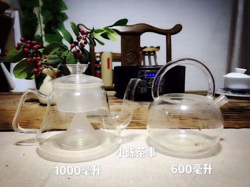 老白茶煮着喝和蒸着喝,有什么区别呢请从煮茶器和蒸茶器说起