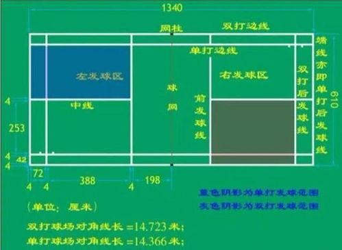 中国羽毛球冷知识，羽毛球冷知识问答